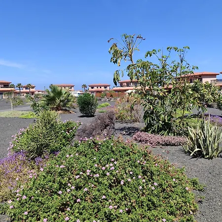 Punta Calma Majanicho