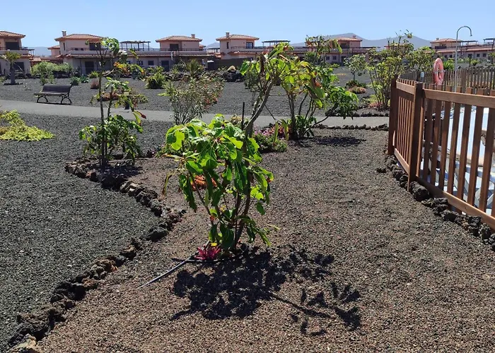 Punta Calma * Majanicho