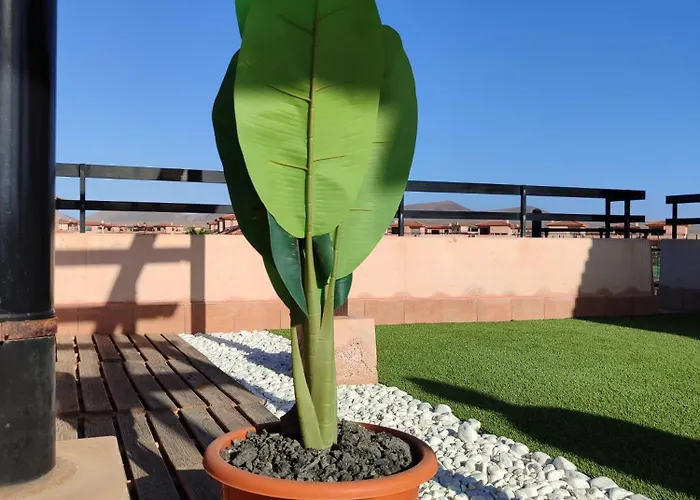 Punta Calma * Majanicho